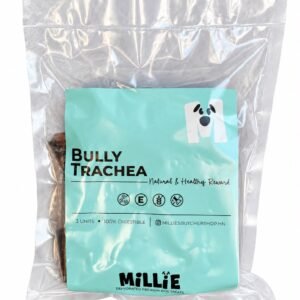 BULLY TRACHEA